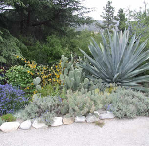 Shrub Borders